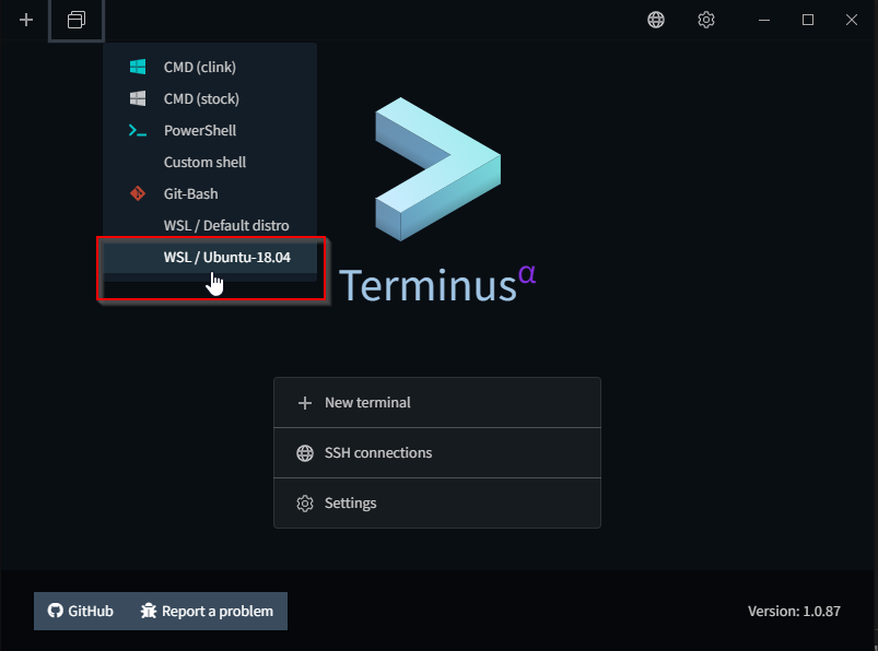 Terminus Ubuntu 18.04